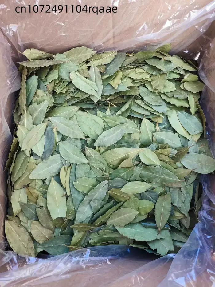 Bâtonnets de cannelle naturelle premium et anis étoilé, parfum chaud pour l'aromathérapie, la fabric