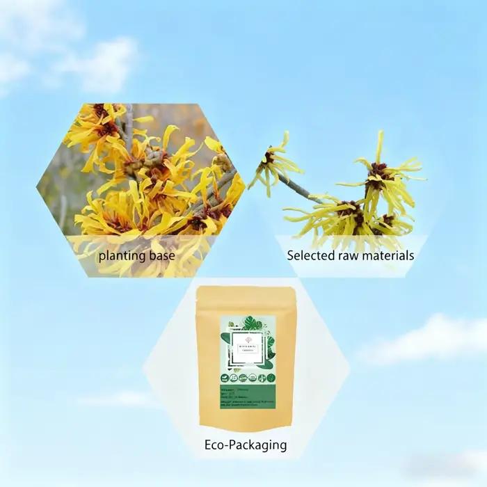 Extrait de Hamamelis virginiana t en poudre 20:1, emballage personnalisé pour la fabrication de savo
