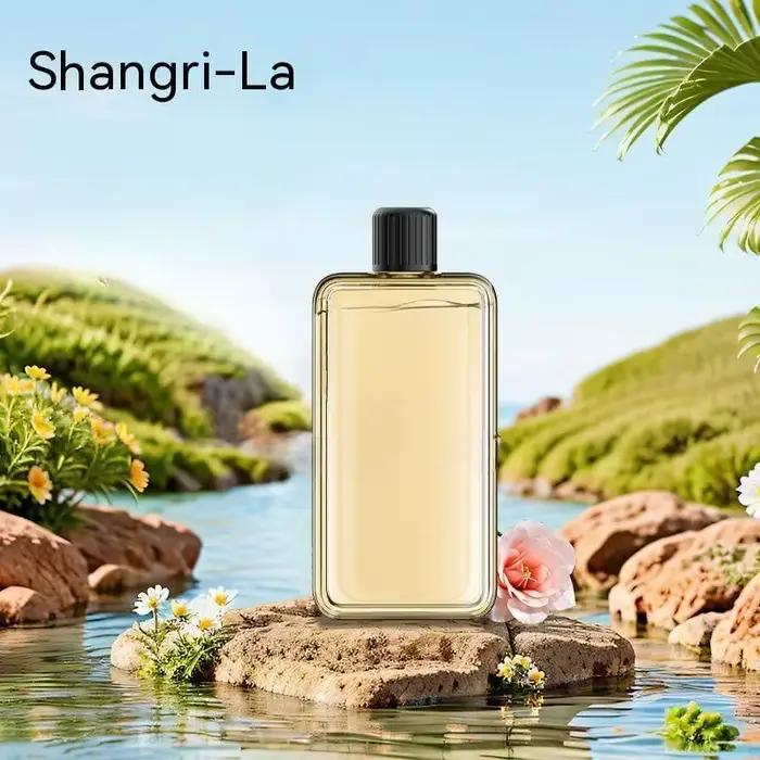 Diffuseur d'aromathérapie automatique, pulvérisateur de parfum d'huile essentielle Portable pour la 