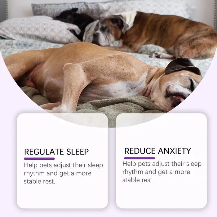 Complément alimentaire YEGBONG Sleep Aid à la menthe pour chiens : réduit l'anxiété et le stress, améliore la vitalité quotidienne des animaux de compagnie.