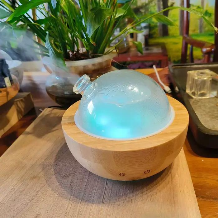 Diffuseur d'huiles essentielles en verre avec base en bois véritable