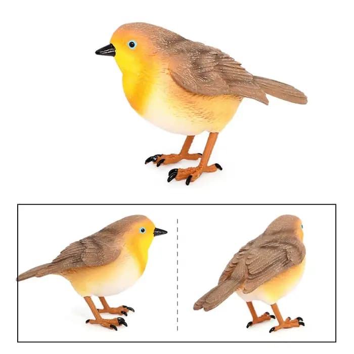 Modèle d'oiseau Robin simulé
