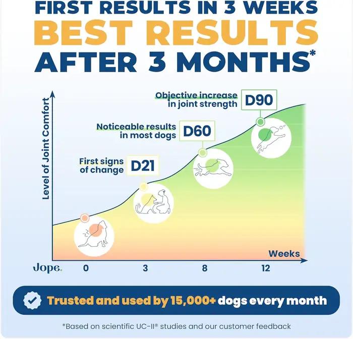 Complément articulaire pour chiens, 50 comprimés à mâcher, collagène, glucosamine, chondroïtine, pour la santé canine, oméga 3, curcumine