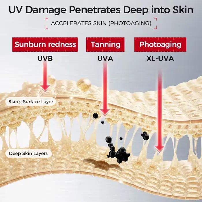 Crème solaire faciale SPF50+ | Protection UV à large spectre