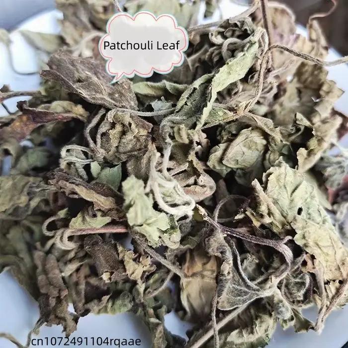Feuilles de Pogostemon Cablin naturelles séchées (Patchouli/Perilla) pour la fabrication de savons