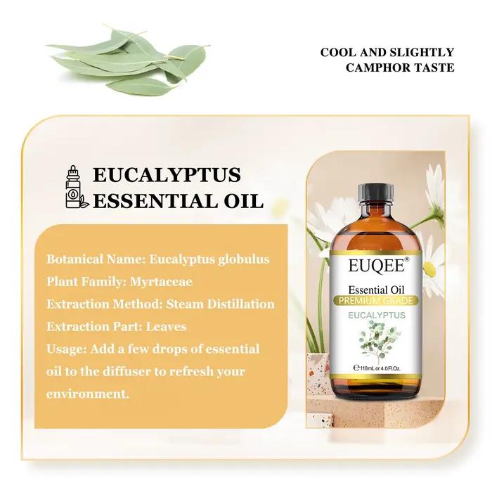Grande Bouteille d'Huile Essentielle pour Humidificateur