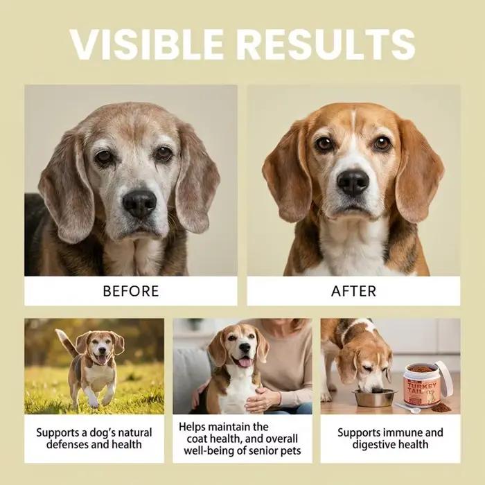 100g Complément alimentaire pour chiens âgés Tarkey Tail, Soin des articulations, Soin intestinal, Soin de la peau, Soutien immunitaire, Probiotiques, Saveur bacon