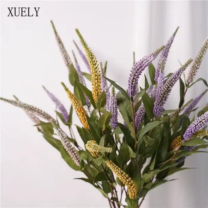 Plantes de Sauge et Lavande