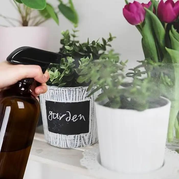 HI Daily illable AfricBottle for Essential Chateau Plants Books