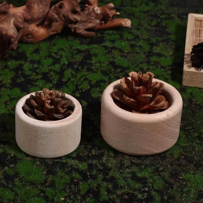 Diffuseur d'huile essentielle en bois de pomme de pin créatif