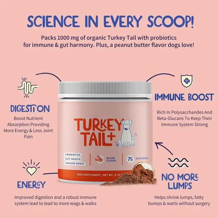 Compléments alimentaires de champignons Turkey Tail pour chiens, 100 g, complément alimentaire de champignons Turkey Tail pour animaux de compagnie, vitamines de qualité supérieure pour la santé des a