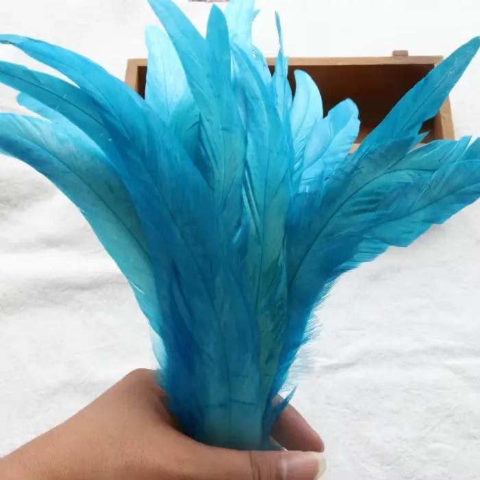 Plumes de queue de coq blanches 20/50/100 pièces pour artisanat DIY, vêtements de carnaval, accessoires de costume, fournitures de décoration