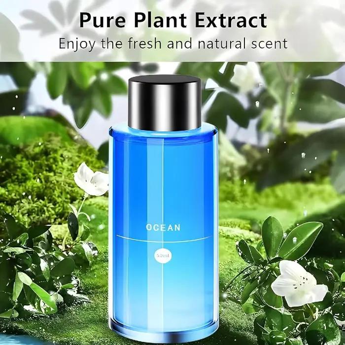 Diffuseur de parfum de voiture diffuseurs d'air