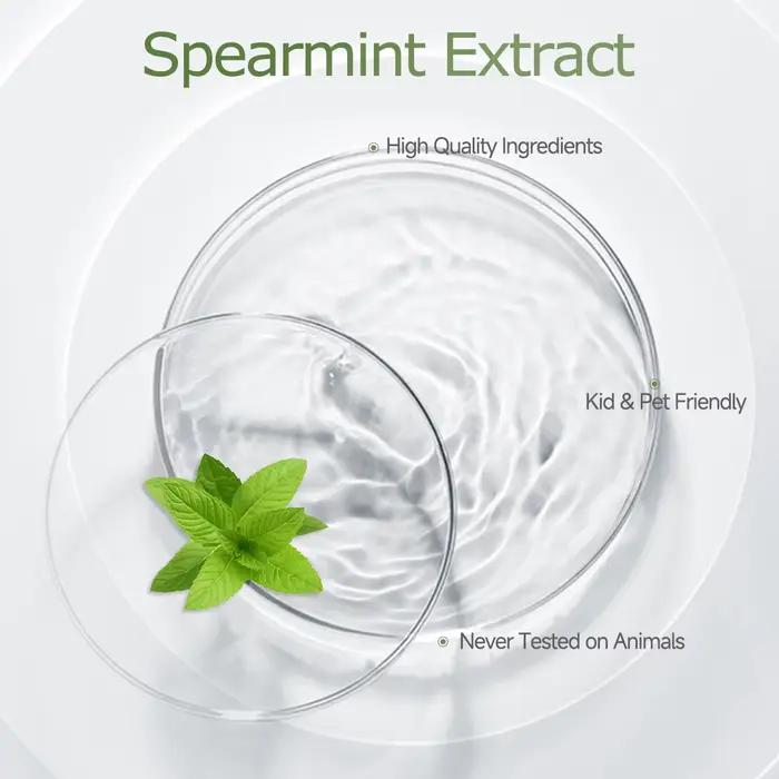 SPEARMINT huile essentielle huiles essentielles pures