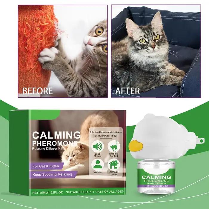 Kit diffuseur de phéromones apaisantes pour chat avec recharge – Soulagement relaxant de l'anxiété et du stress