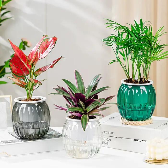 Pot de fleurs hydroponique à arrosage automatique, Pot de fleurs à absorption d'eau automatique, jardinière à arrosage automatique en plastique à Double couche