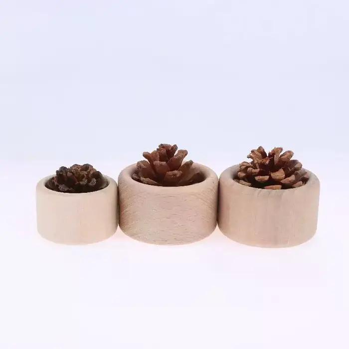 Diffuseur d'huile essentielle en bois de pomme de pin créatif