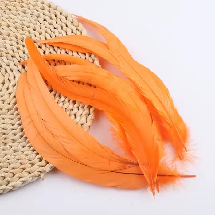 Plumes de queue de coq blanches 20/50/100 pièces pour artisanat DIY, vêtements de carnaval, accessoires de costume, fournitures de décoration