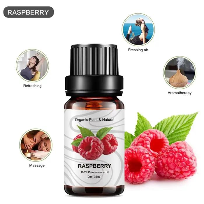 Diffuseur d'huiles essentielles pour fabrication de plantes
