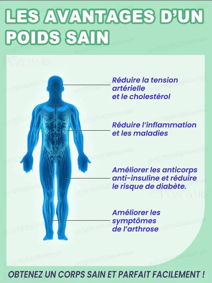 Une seule goutte d'huile essentielle peut accélérer le métabolisme et vous aider à perdre du poids facilement Commer