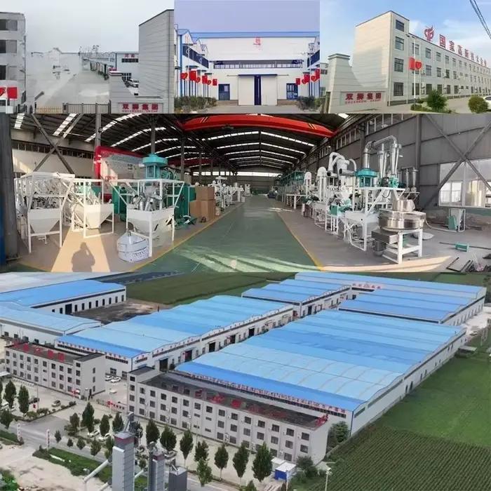 Ligne de production d'huiles comestibles complète et personnalisée, équipement industriel d'extraction et de traitement d'huiles de tournesol, de coton et de soja