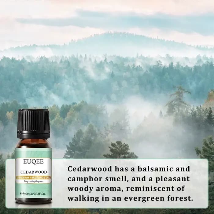 EUQEE 10ml huile parfumée Premium cuir baie rhum couronne de noël huiles aromatiques bois de cèdre bois de santal lilas huile parfumée de noix de coco