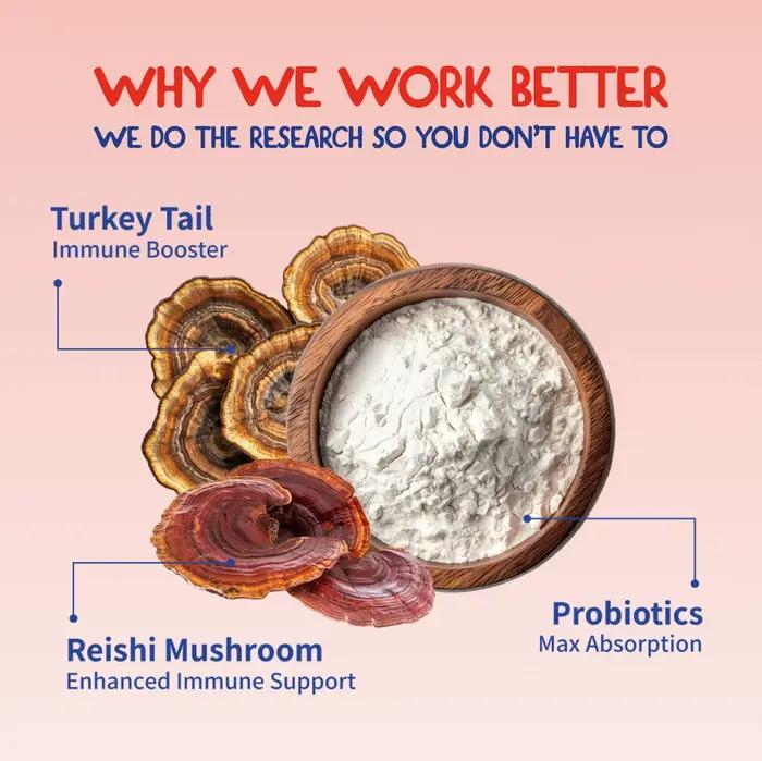 Compléments alimentaires de champignons Turkey Tail pour chiens, 100 g, complément alimentaire de champignons Turkey Tail pour animaux de compagnie, vitamines de qualité supérieure pour la santé des a
