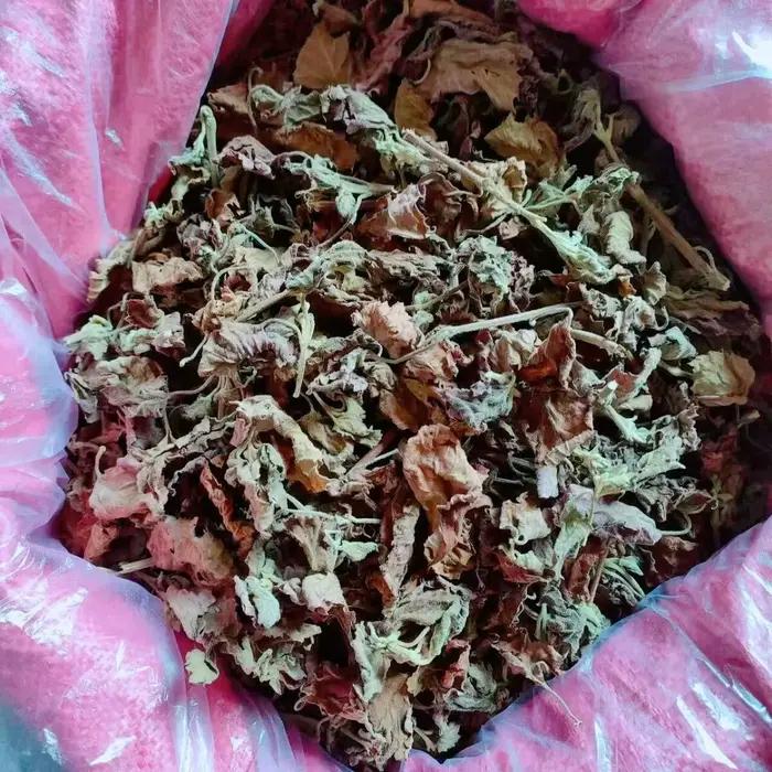 Feuilles de Pogostemon Cablin naturelles séchées (Patchouli/Perilla) pour la fabrication de savons