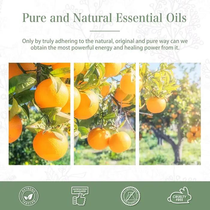 PHATOIL 100ml huile essentielle d'orange douce pour diffuseur aromathérapie huiles essentielles de parfum Premium pour la fabrication de bougies savon de bricolage
