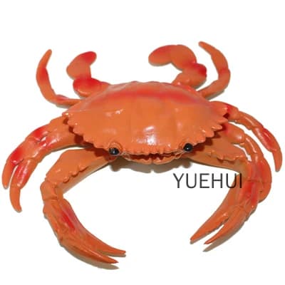 Modèle de crabe d'éternité corrigé, jouet animal marin, plastique, grand, jouets d'éducation précoce