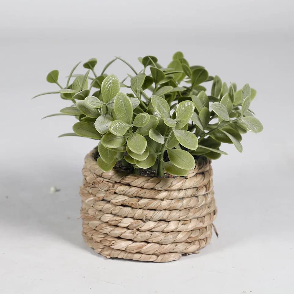 Plante artificielle verte en pot, 11cm, herbe d'eucalyptus, simulation de plantes en pot, feuilles e