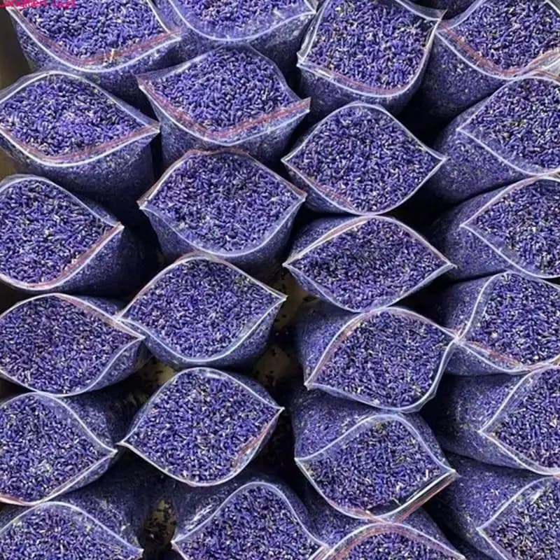 Lavande séchée naturelle/poudre, fleurs séchées aromatiques pour mariage, aromathérapie, aide au som