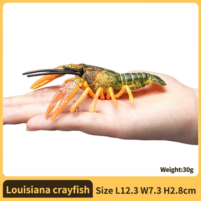 #   Figurine de homard Palinuridae Sea Life, crevette Spotte, crustacean réaliste, jouet éducatif po