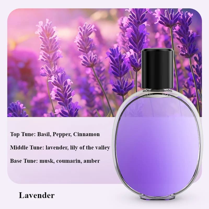 Diffuseur automatique, Machine d'aromathérapie, parfum d'air, désodorisant, toilettes, salle de bain