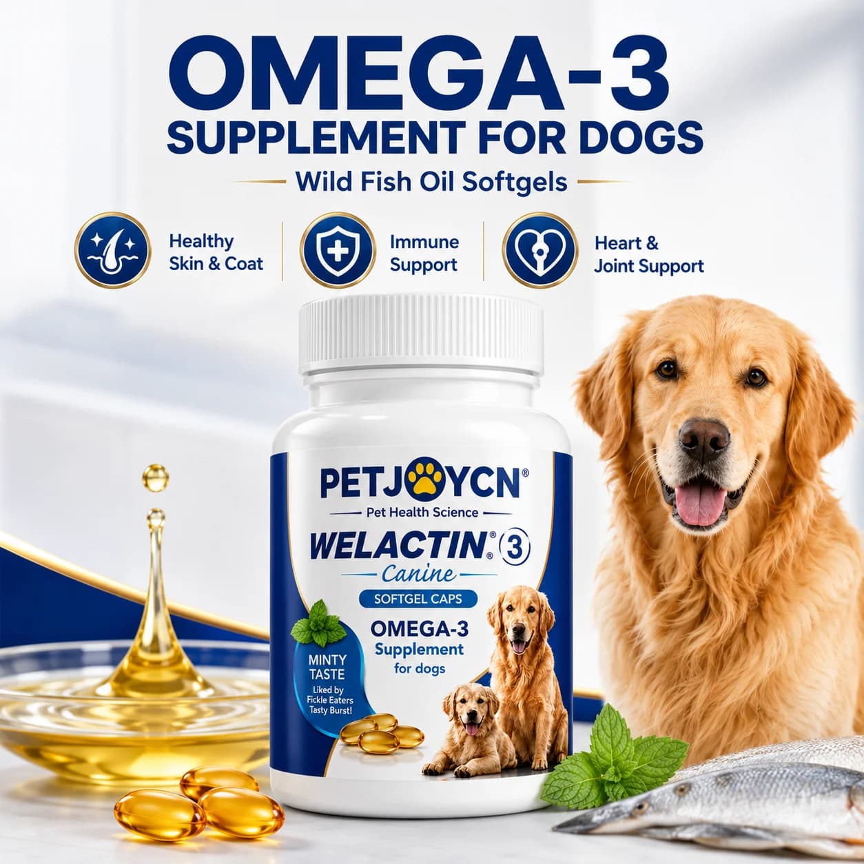 Gélules d'huile de poisson Oméga-3 OEM pour chiens, EPA DHA, soutien de la peau, du pelage et des ar