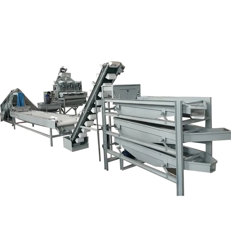 Usine de traitement de noix d'amande à haute efficacité, ligne de production de rôtissage, usine de 
