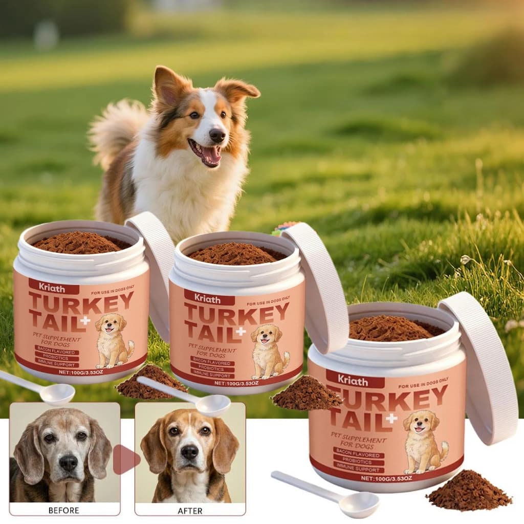 Complément alimentaire Tarkey Tail pour chiens, saveur bacon, probiotiques, soutien immunitaire, ent