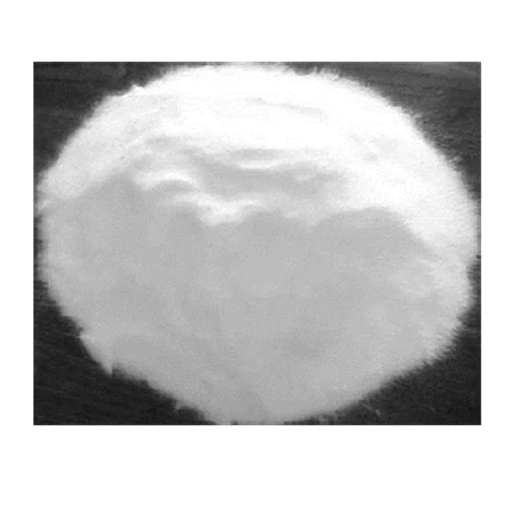 ZPT-Poudre de pyrithione de zinc pour les soins de la peau, cosmétiques hydratants, matière première