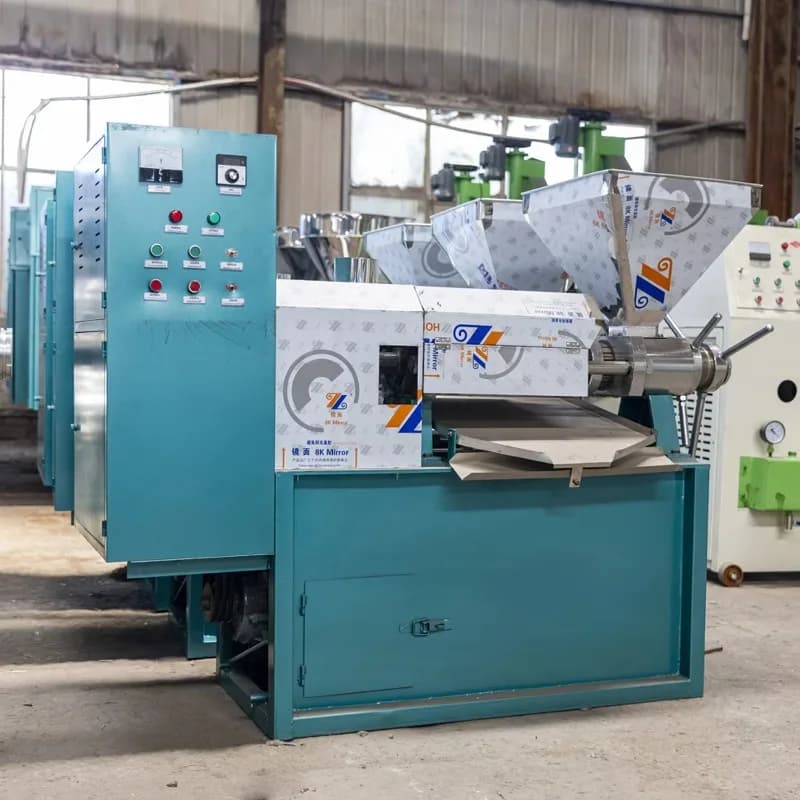 Presse à huile combinée personnalisée pour sésame, tournesol et beurre de cacao, machine d'extractio