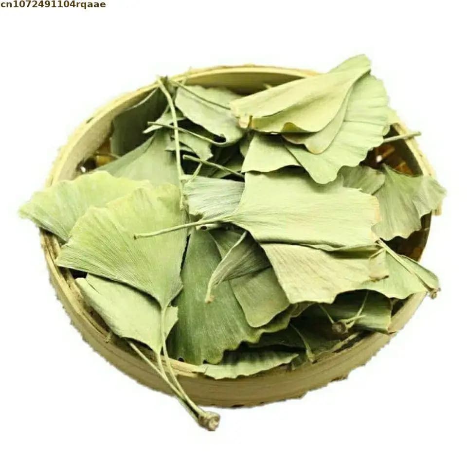 Feuilles séchées de Ginkgo Biloba 50g-800g pour Kit de fabrication de bougies, savon de bricolage, b