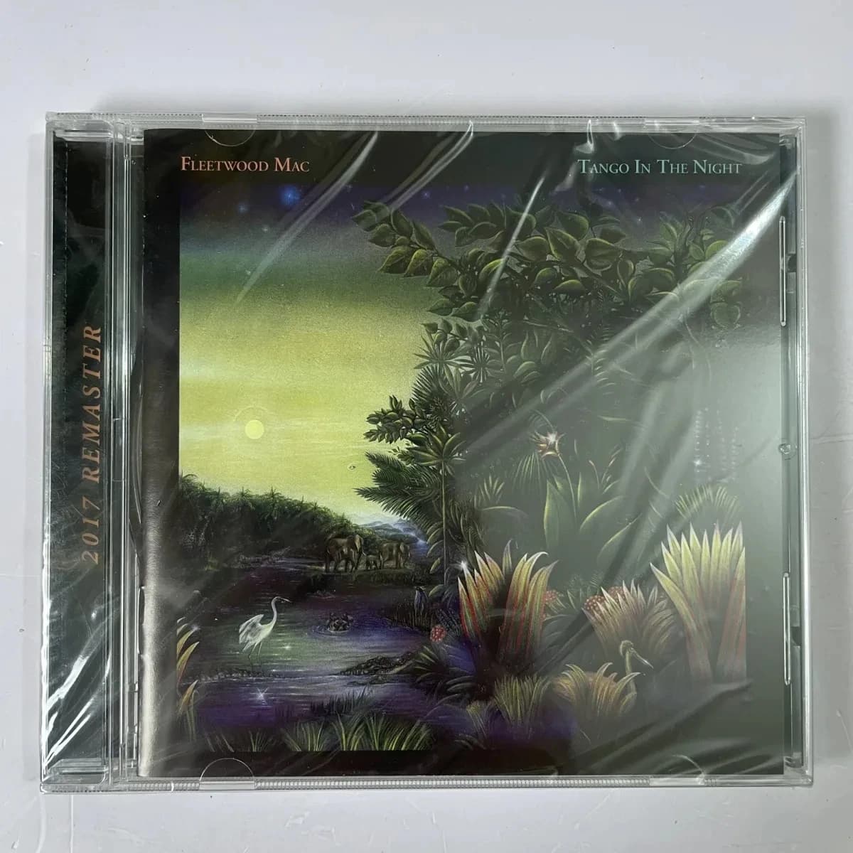Rock Fleetwood Mac Stevie Nicks musique CD Tango dans la nuit Album grand amour enregistrement de mu