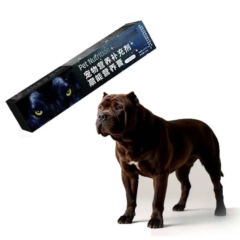 Gel nutritionnel haute énergie pour chiens et animaux de compagnie, 10X renforcement physique, entra