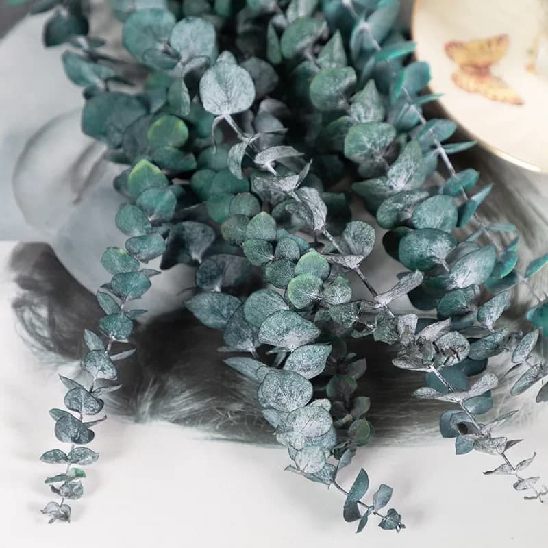 Bouquet de fleurs séchées en feuilles d'eucalyptus, Bouquet de table, fleurs de mariage, décoration 