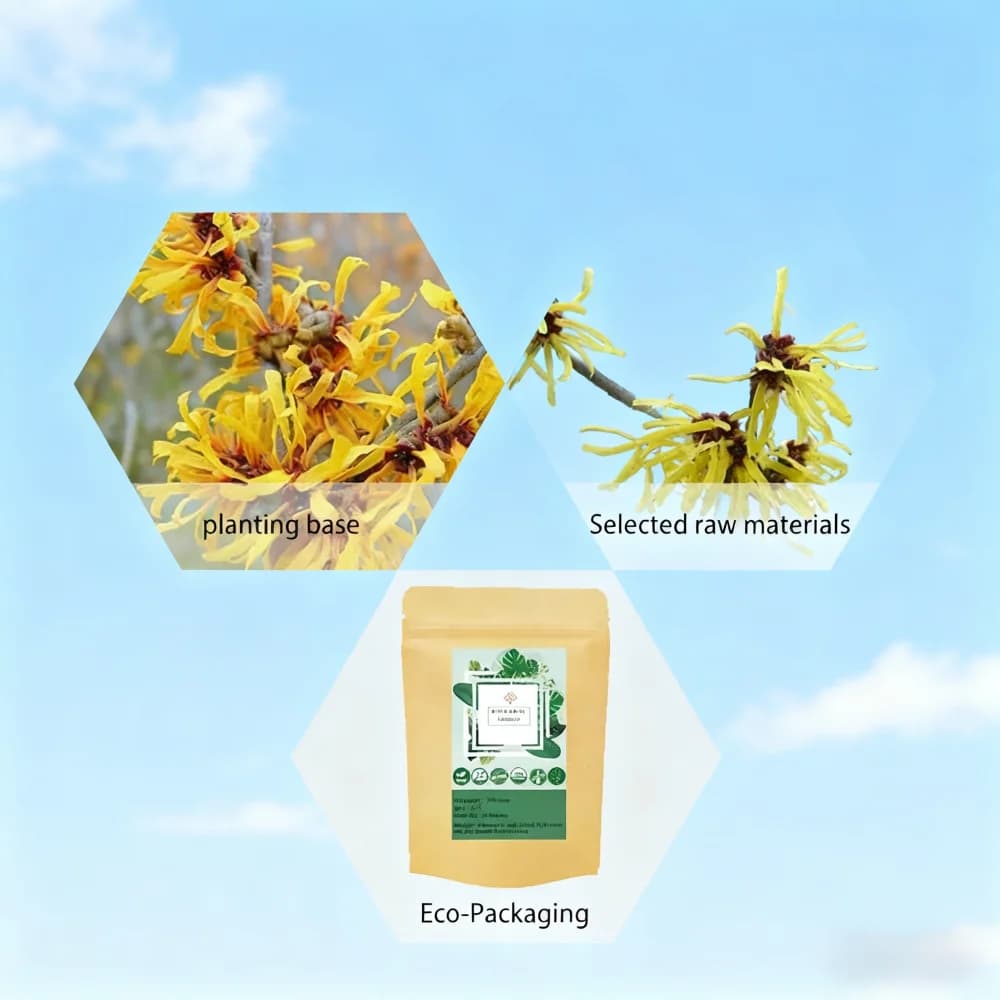 Extrait de Hamamelis virginiana t en poudre 20:1, emballage personnalisé pour la fabrication de savo