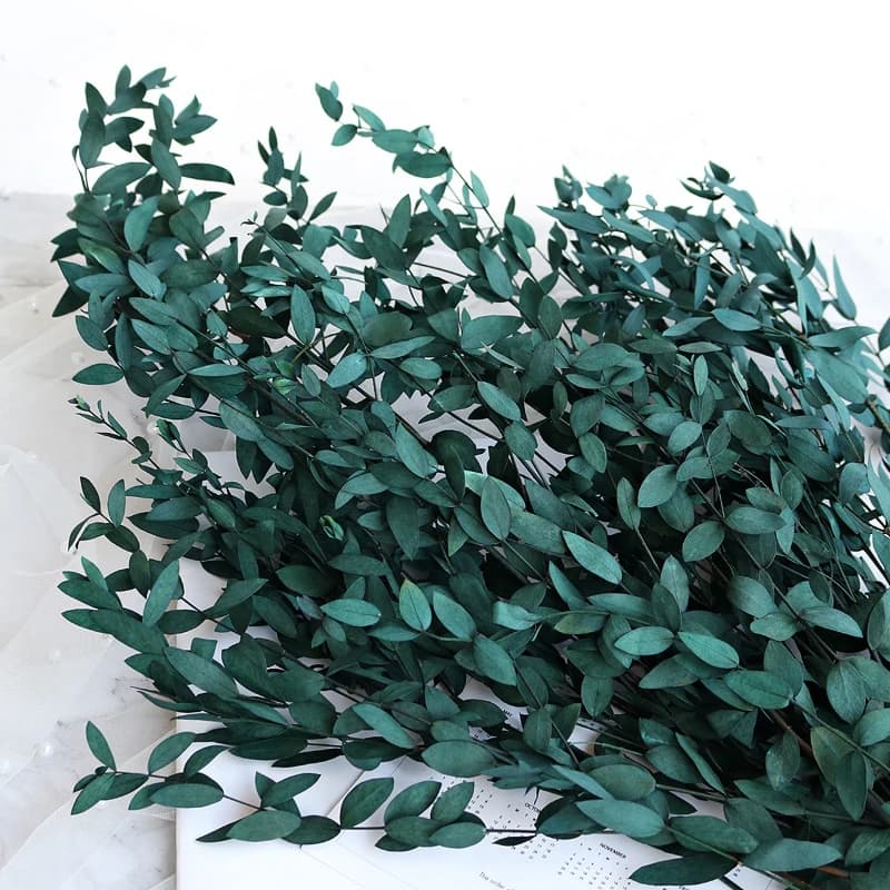 Bouquet de feuilles d'eucalyptus 100g, fleurs séchées naturelles conservées, Arrangement de plantes 