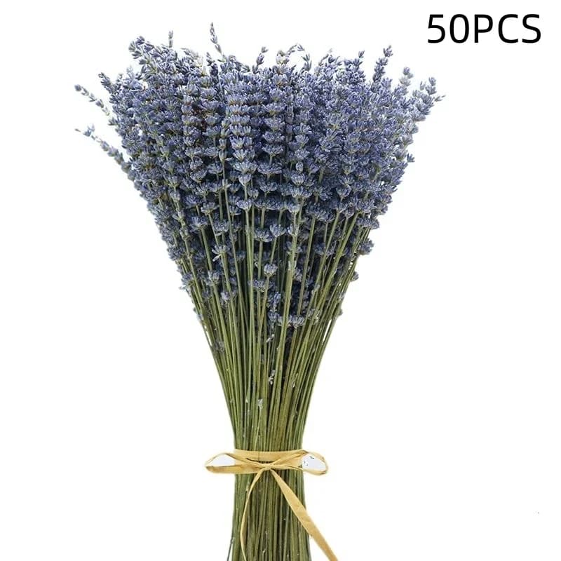 Feuilles d'eucalyptus naturelles séchées et conservées, lavande pour douche suspendue, tiges de feui