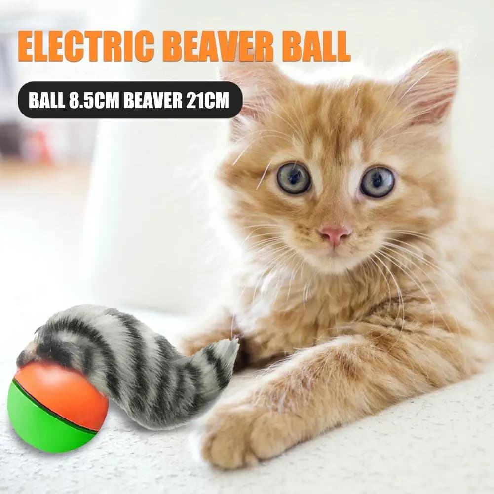 Balle roulante électrique pour animaux de compagnie, jouets de chasse interactifs pour chiens et cha