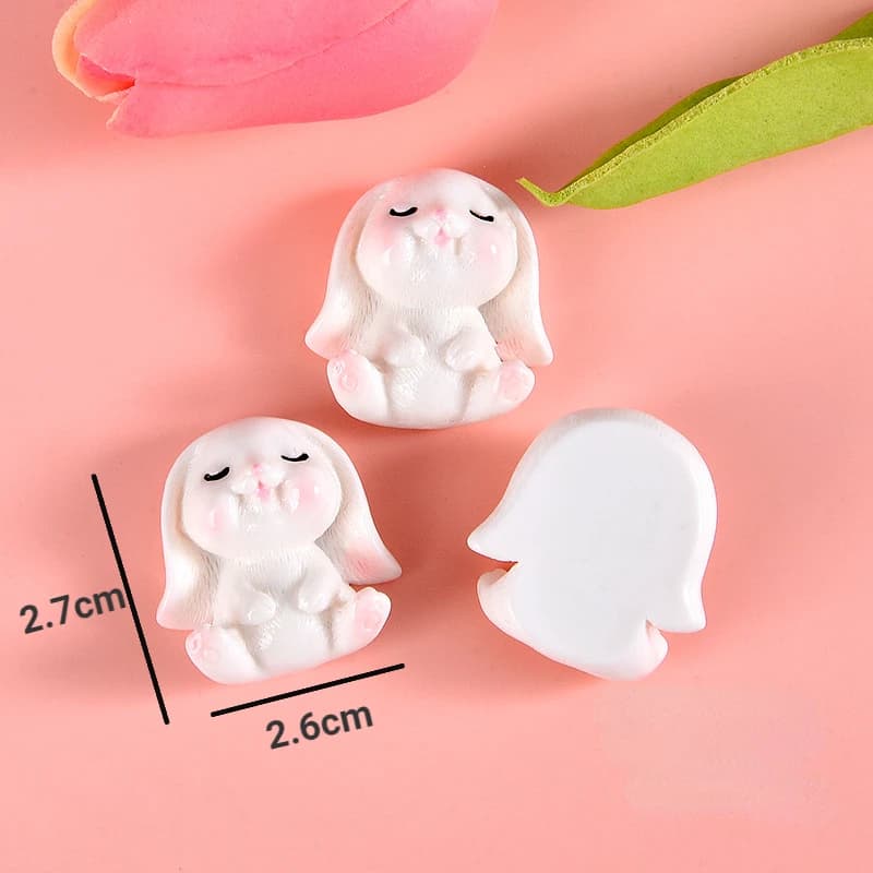 10 pièces carotte lapin résine dos plat artisanat embellissements Décor en résine Piccole bijoux à b