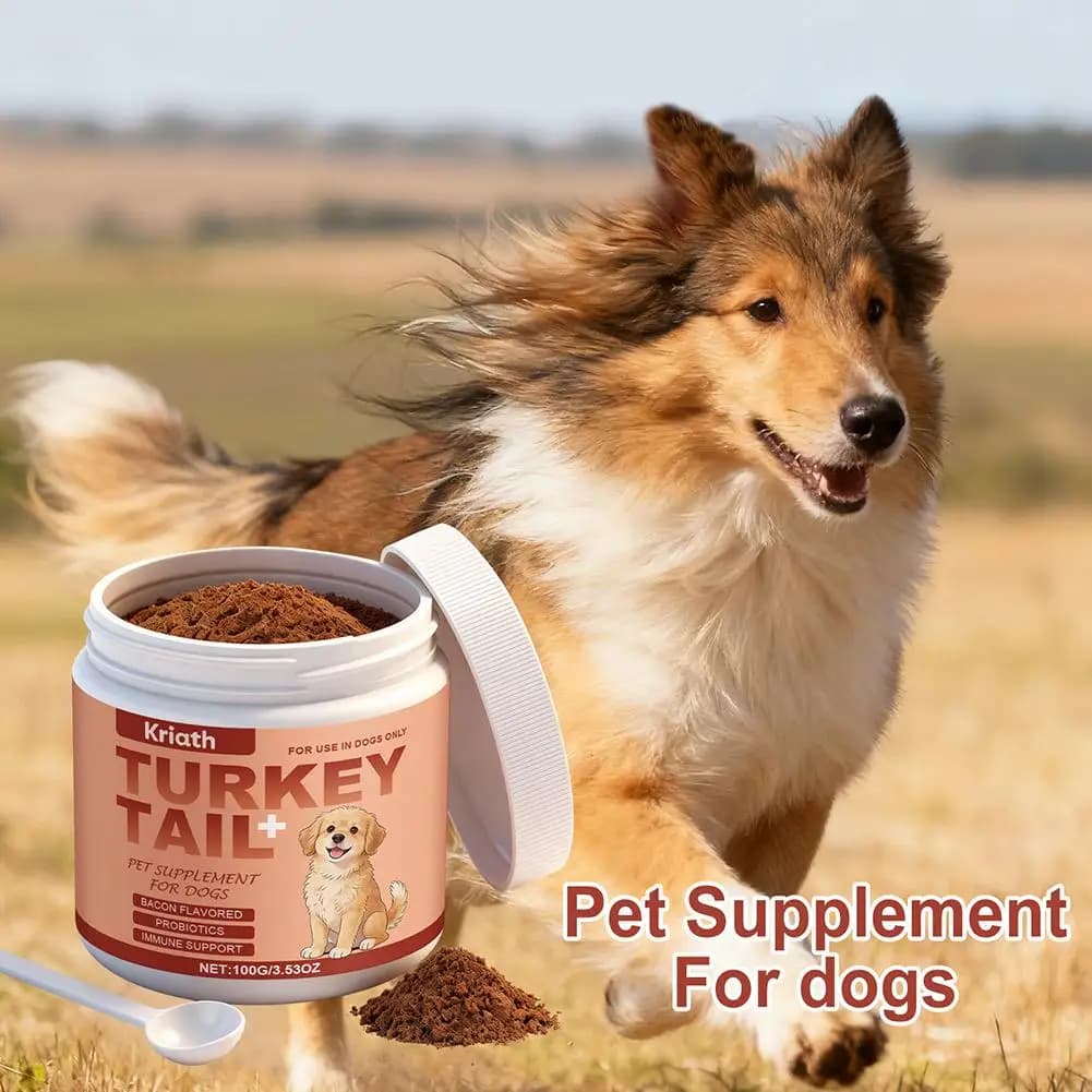 Complément alimentaire pour soutenir l'immunité des chiens – Défense immunitaire quotidienne, favori