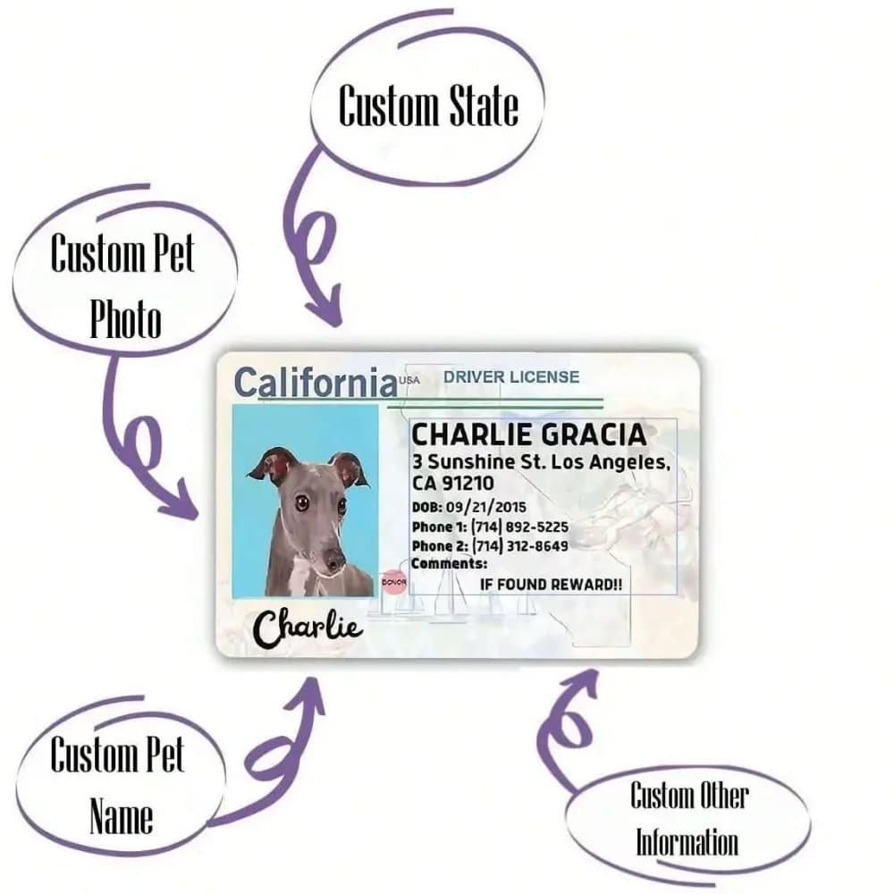 Carte personnalisée pour chien, carte d'identification pour animal de compagnie, cadeau d'anniversai